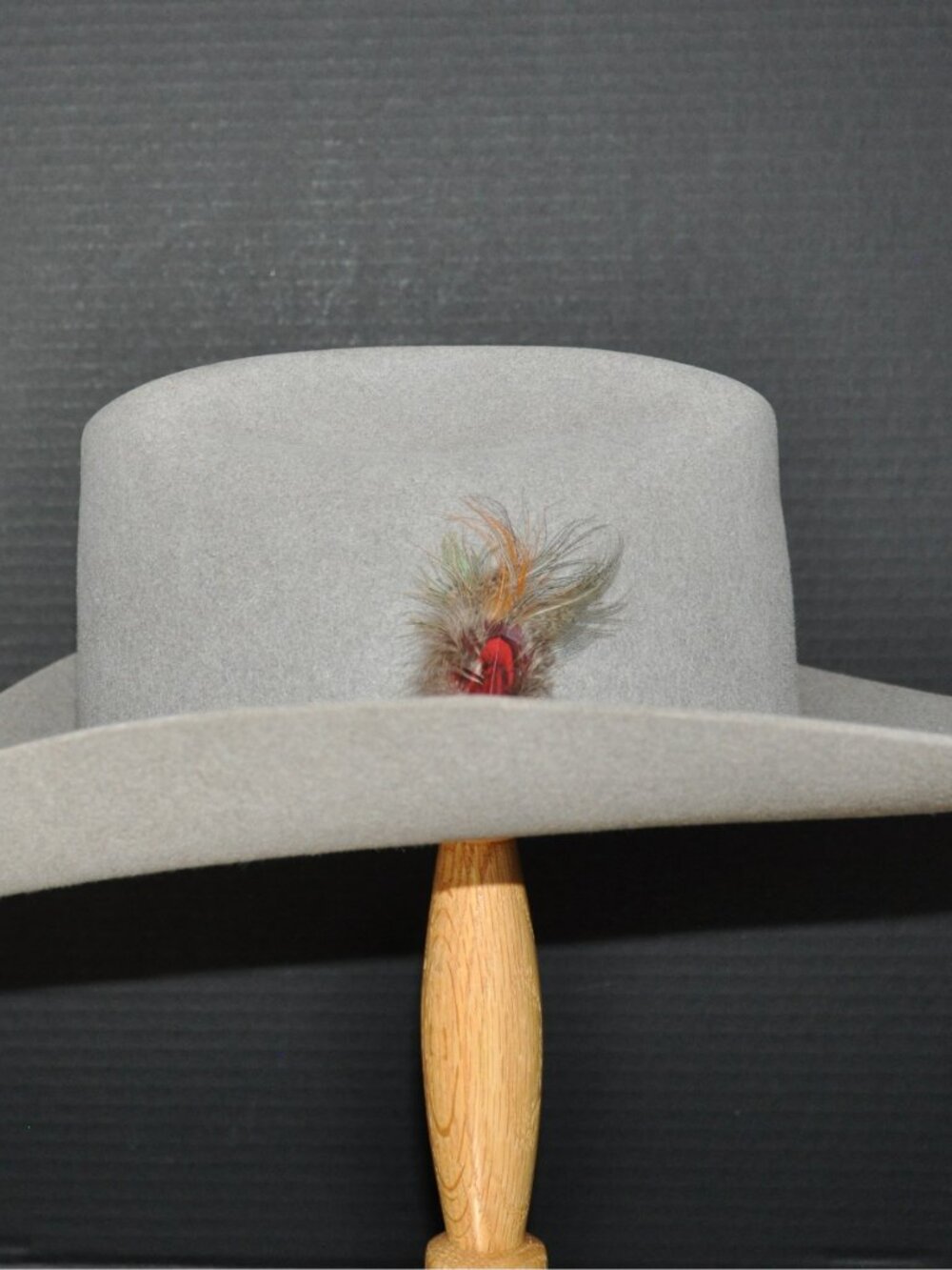 Stetson Falcon - Picture 3 of 7
